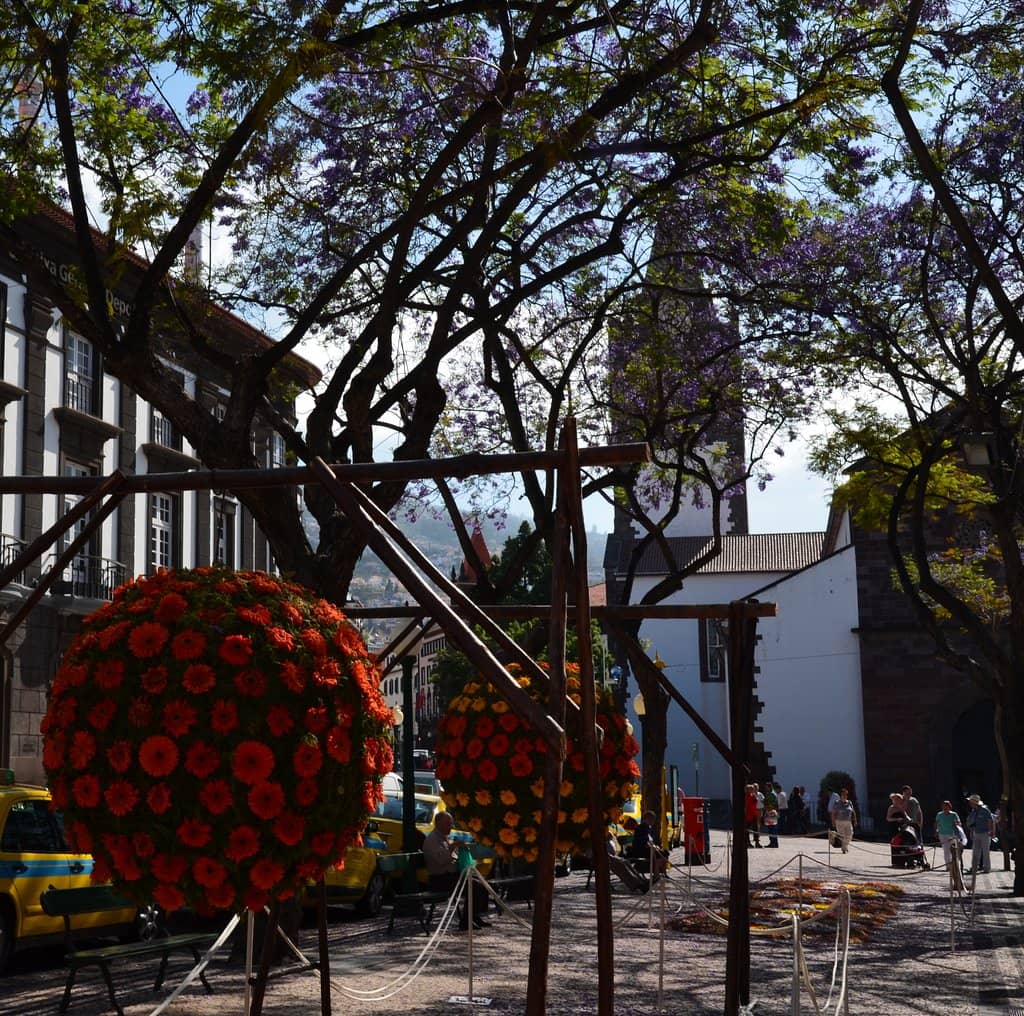 Ornate Cedar Ceiling