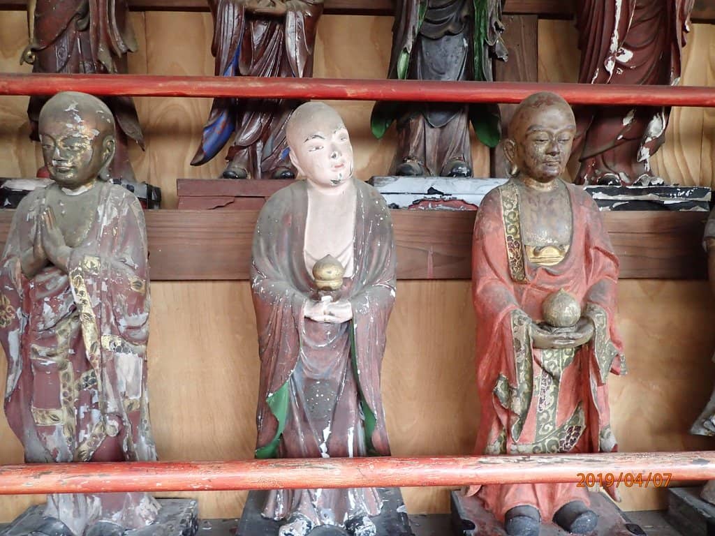 Ancient Cedar Forest