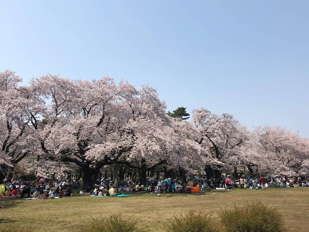Edo-Tokyo Open Air Architectural Museum