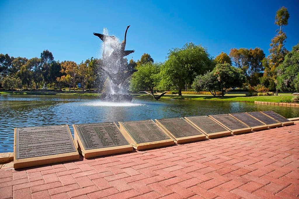 Burswood Park is home to seven lakes, scattered throughout the parkland for visitors to enjoy.
The lakes provide homes and shelter for our birds and other fauna, as well as act as irrigation and drainage basins for the park. As such, there is no swimming or canoeing permitted.