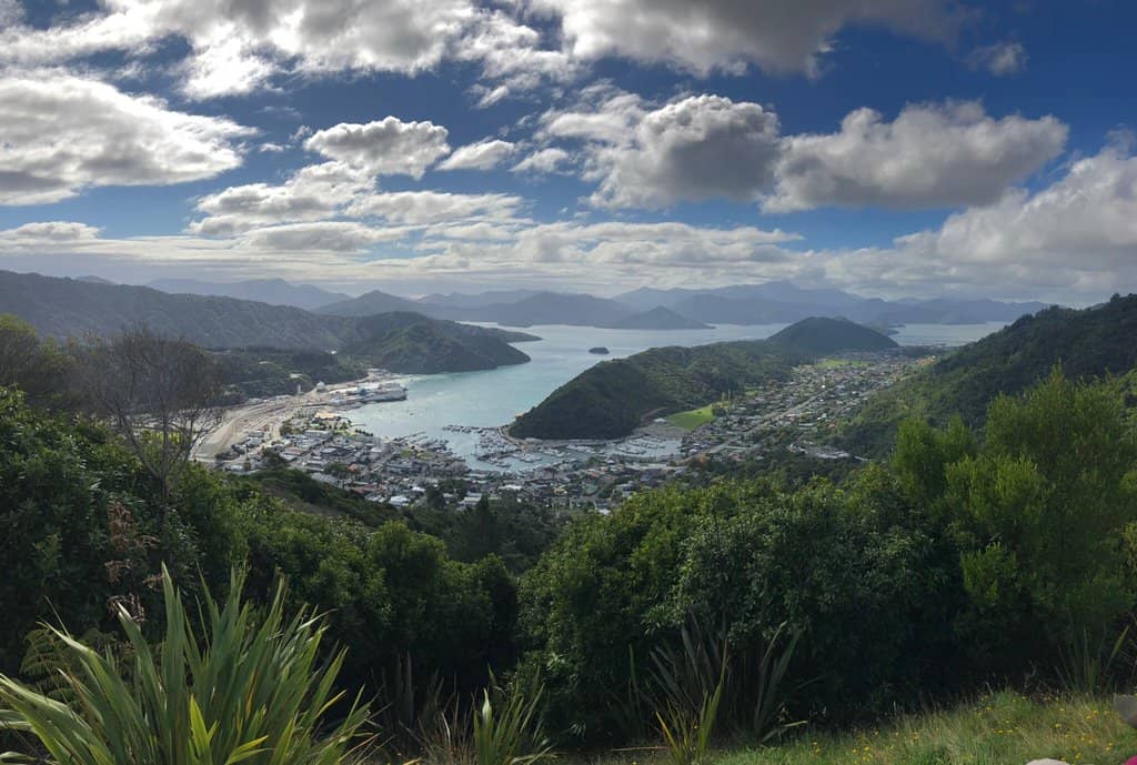 Regenerating Native Forest