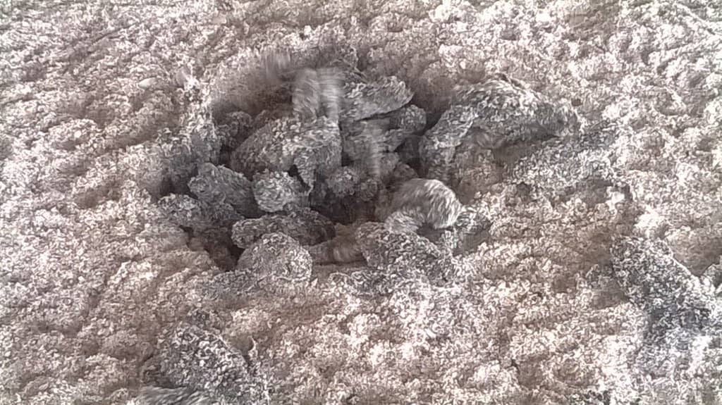 Downtown Art Galleries