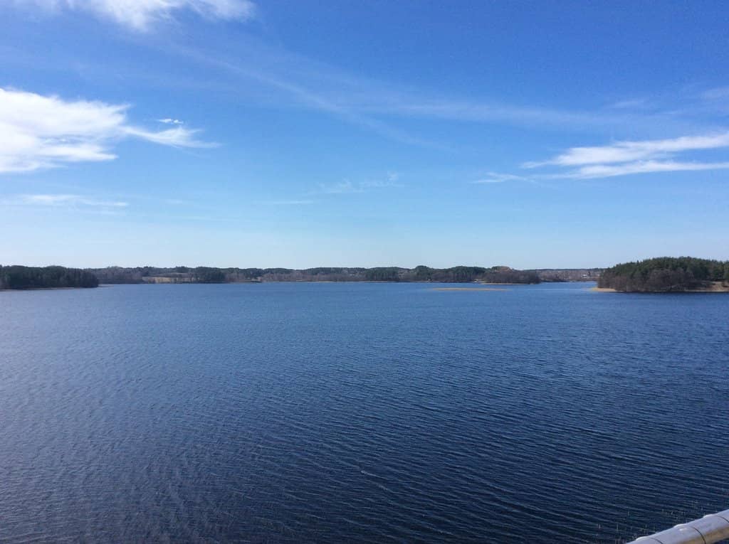 Bear Park Encounters