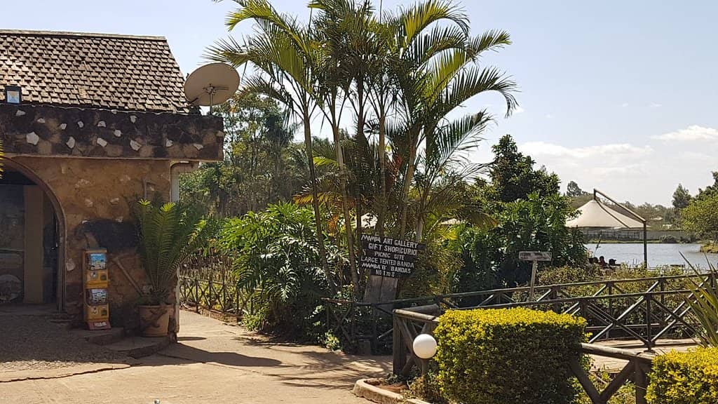 Gentle Giants: Turtles & Ostriches