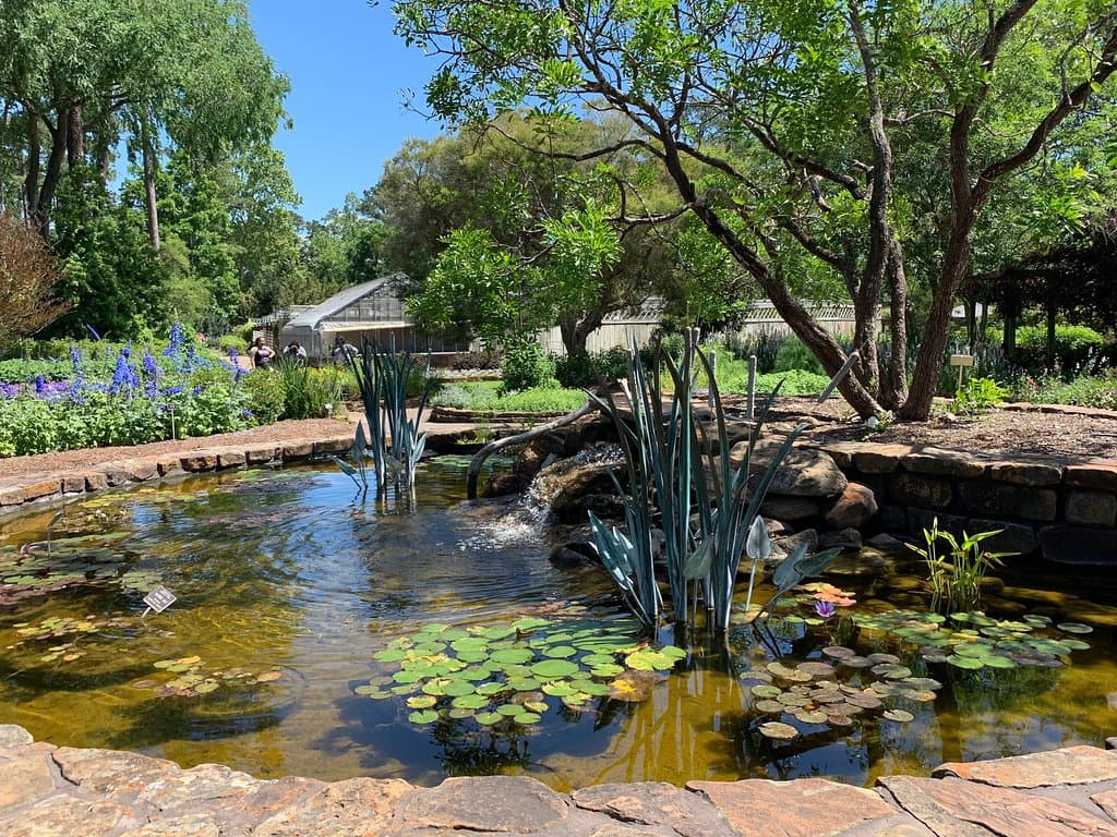 Mercer Arboretum and Botanic Gardens