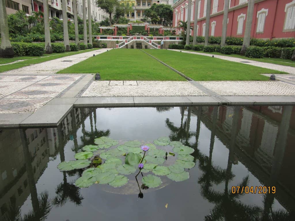 Chinese New Year Dragon