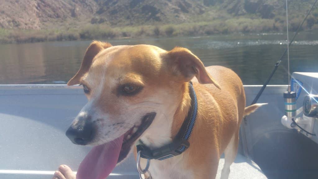 Black Canyon Water Trail
