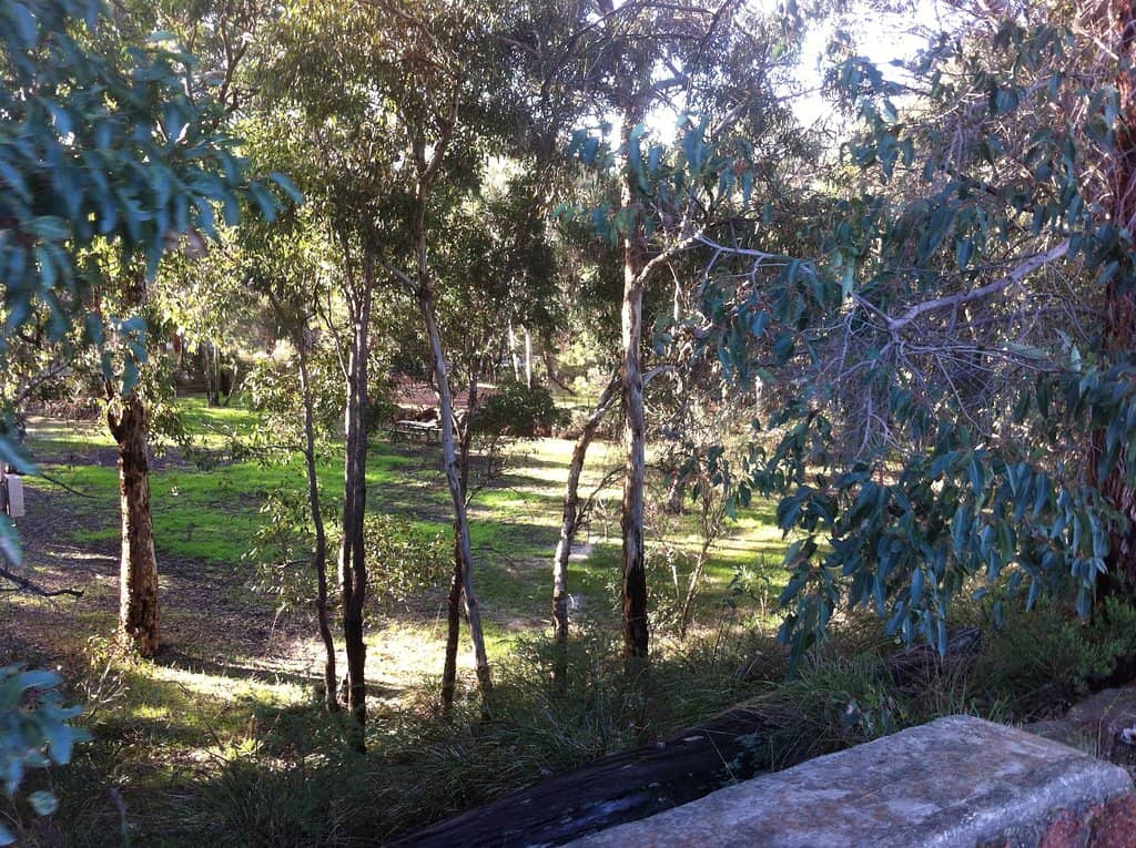 Picnic & BBQ Spots