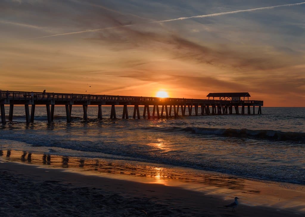 Sunrise