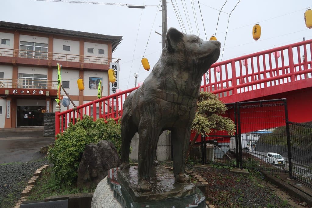There's more than a few Hachiko statues in Odate, and this is just one of them! The museum is the building behind.