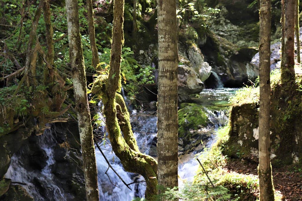 Refreshing Pools