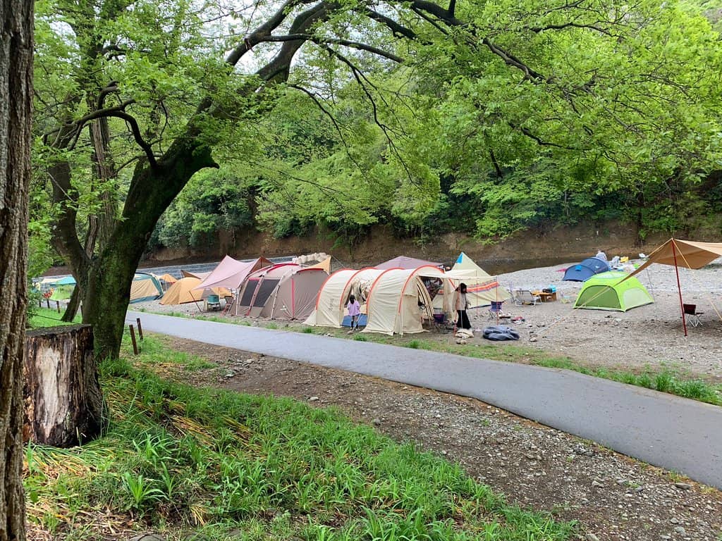 Sea of Red Spider Lilies