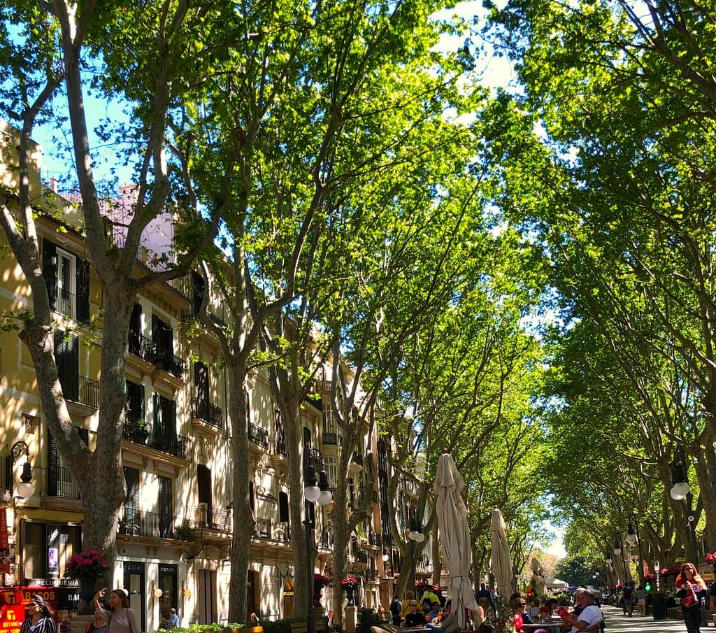 Der Himmel auf Erden