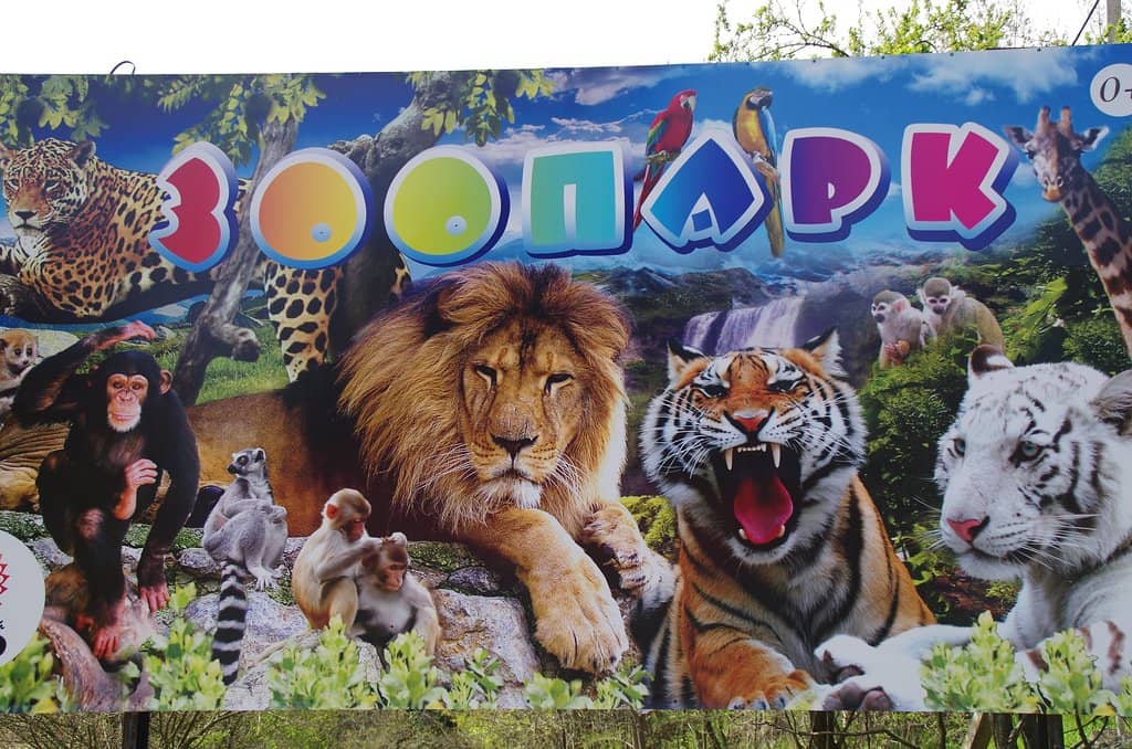 Scenic Mountain Views