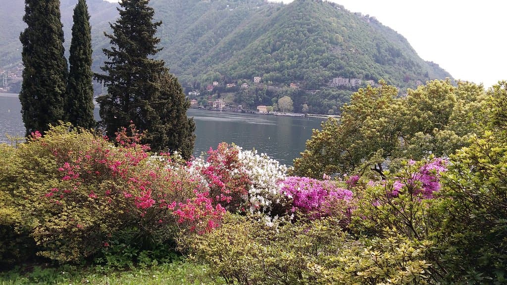 Spring