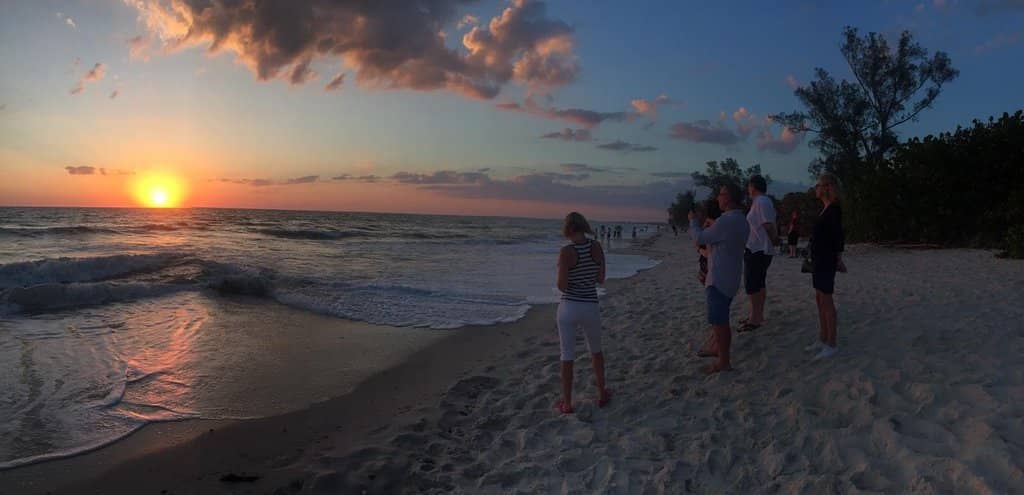 Shelling Paradise