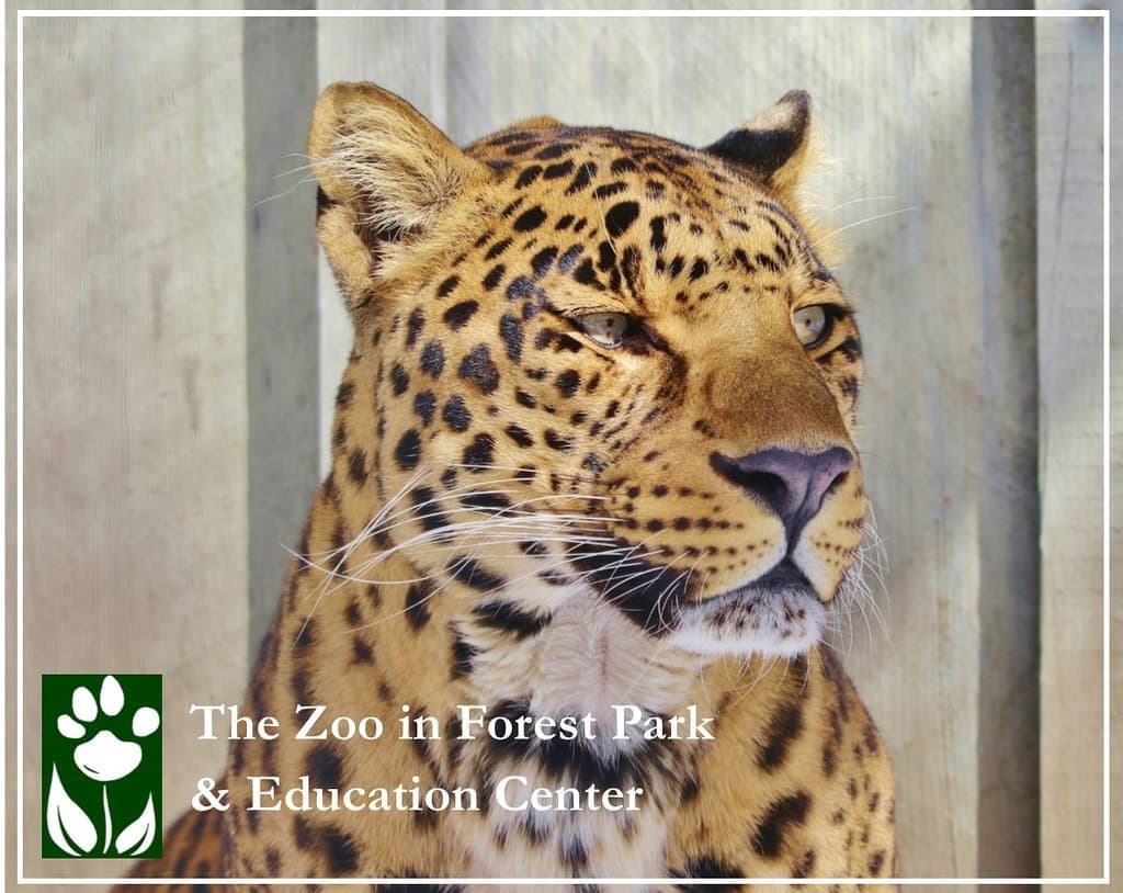 The Zoo in Forest Park & Education Center