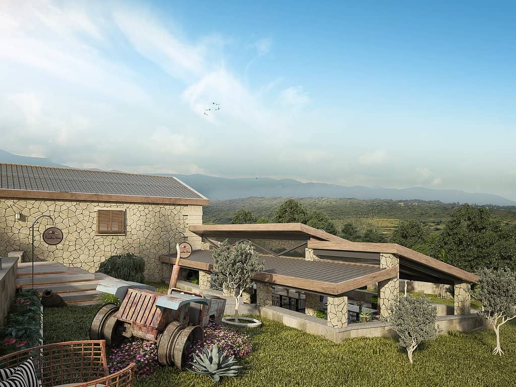 Expert-Led Wine Tastings