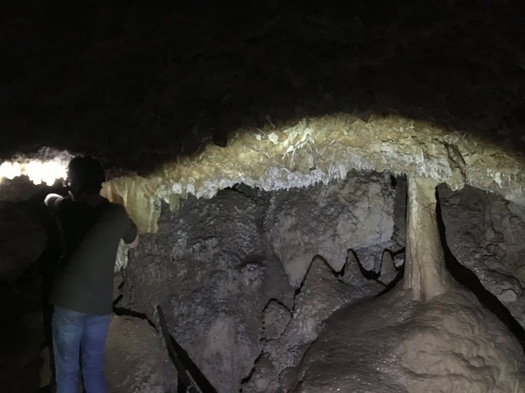 Exiting to the Bushwalk