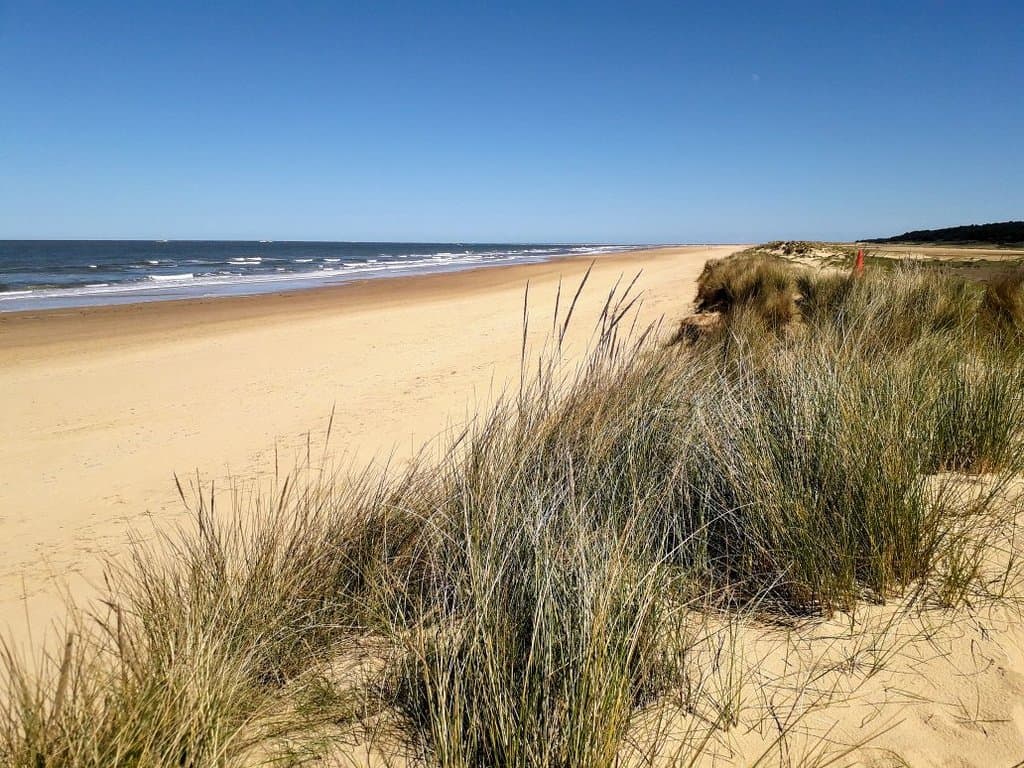 Pine Woods Nature Trails Wells-next-the-Sea