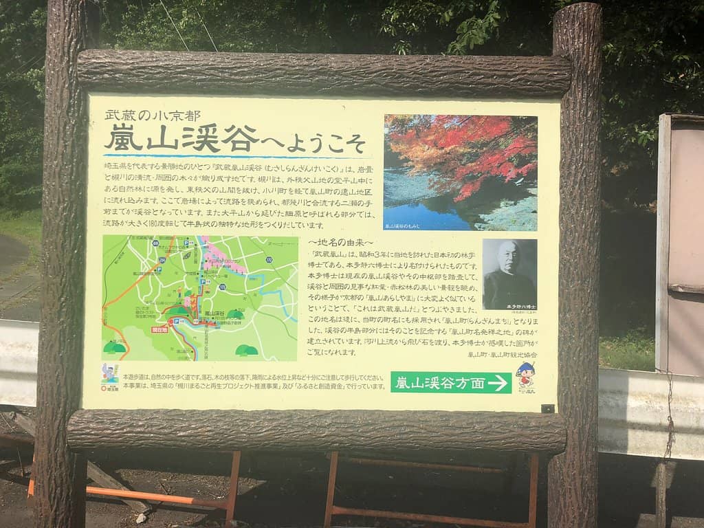 Autumn Foliage Spectacle