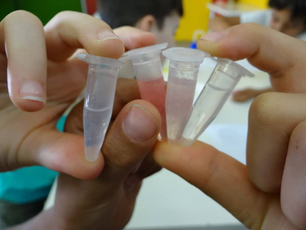 Hands-On Experiments