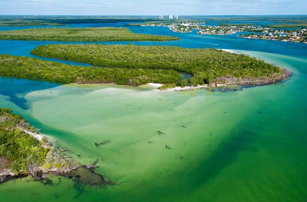 Escape civilization for a little while and head to Keewaydin Island, a secluded destination south of Naples.