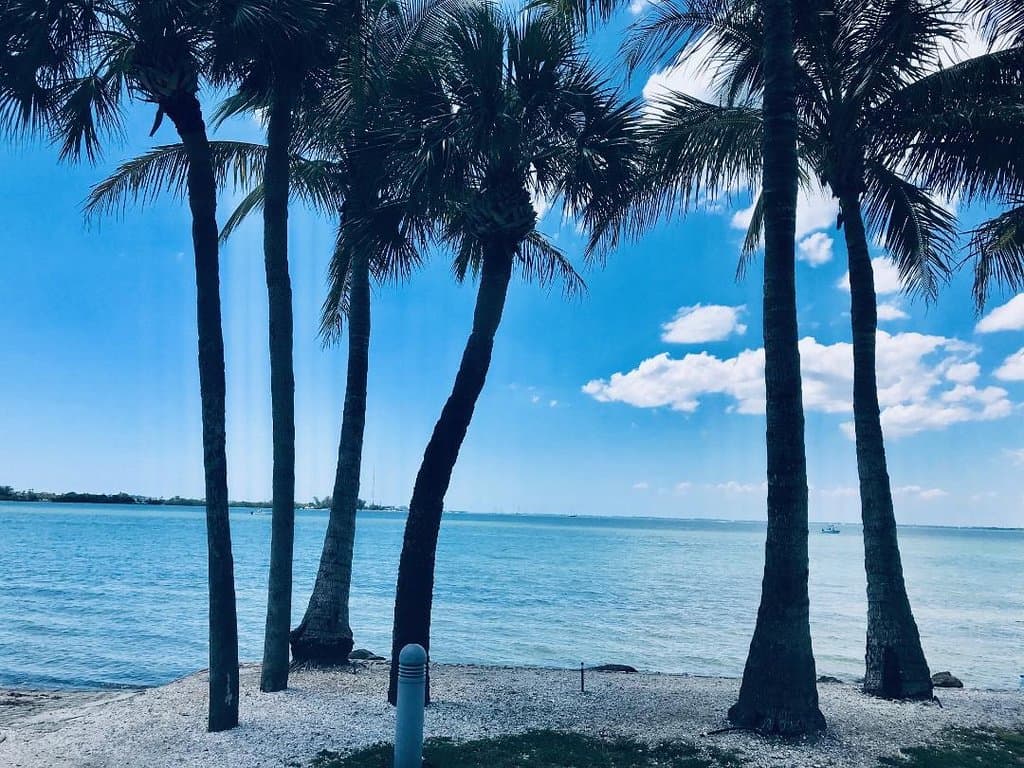 The views from Bird Key Park make it all worthwhile.