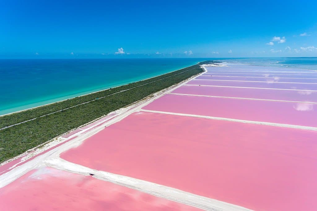 Pink dream!