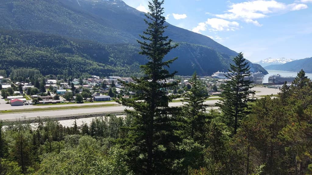 Savory Sandwiches and Bagels