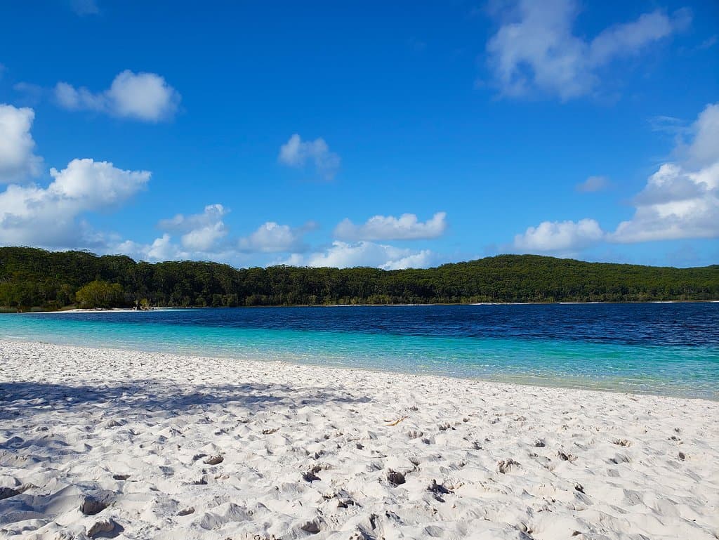 Whitest sand, clearest water. Perched Lake McKenzie.