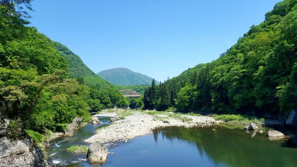 Tranquil Waterfront Views