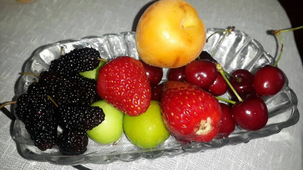 Delicious Hamburgers & Fries