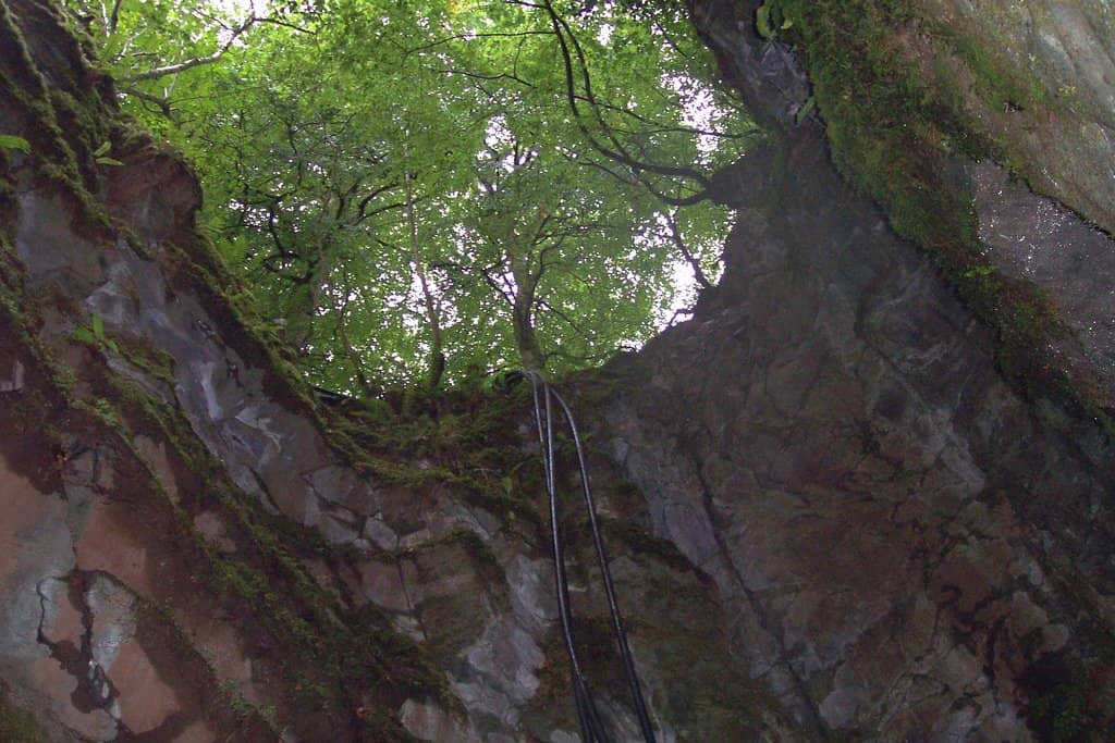 Vertical photo