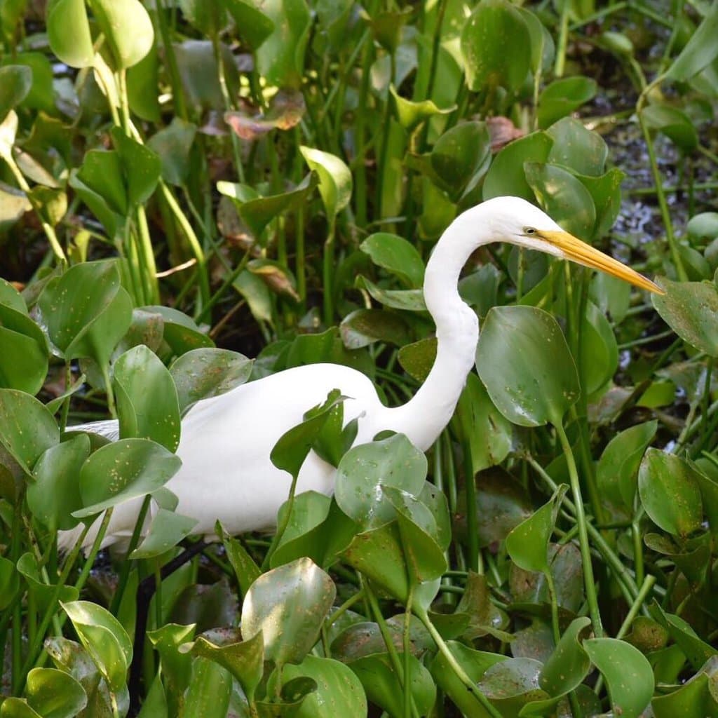 Great visit on Memorial Day Monday