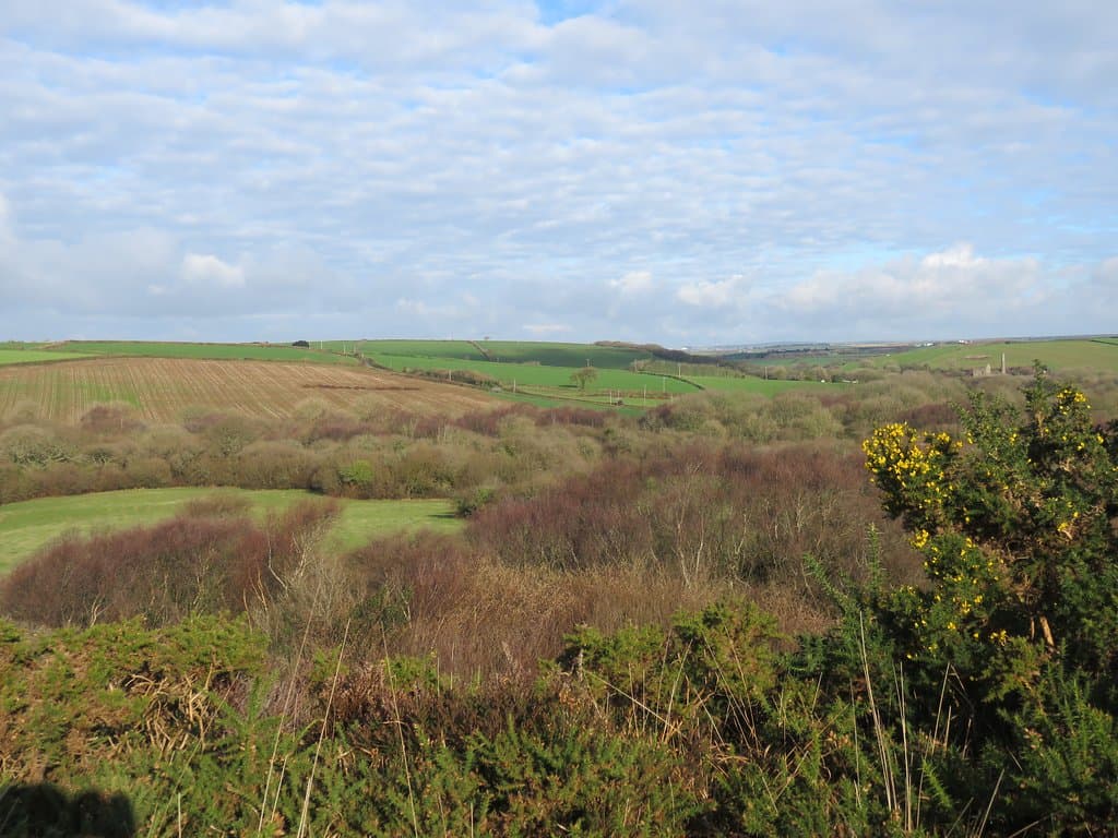 country views
