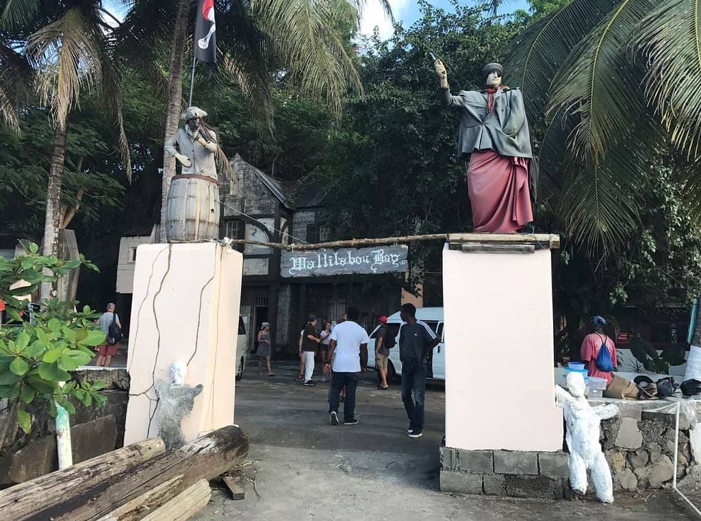 Ancient Trees and Lush Flora