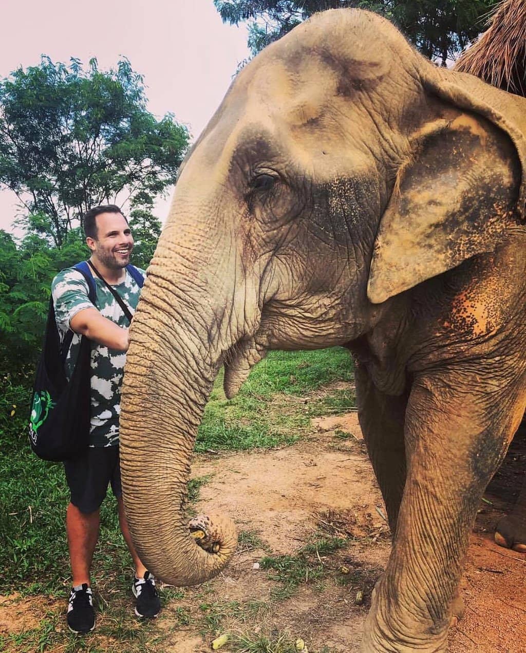 Prepare and Feed Elephants