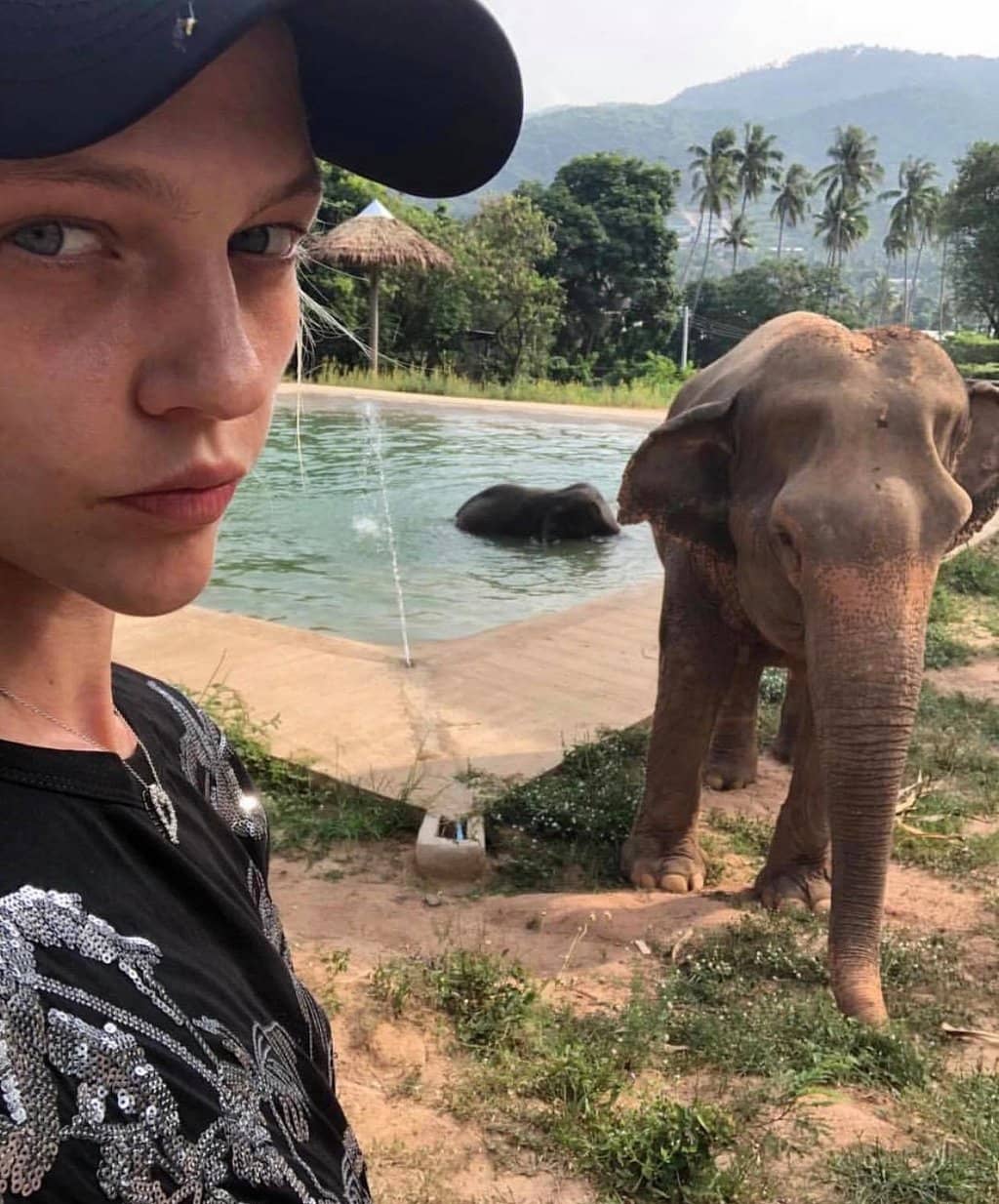 Meet Rescued Elephants