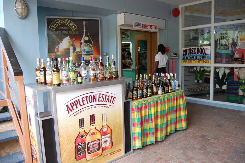 Palm-Shaded Relaxation