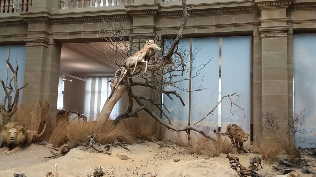 Historical Collections