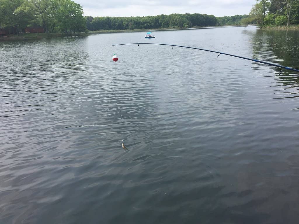 Sugarloaf Lake Beach