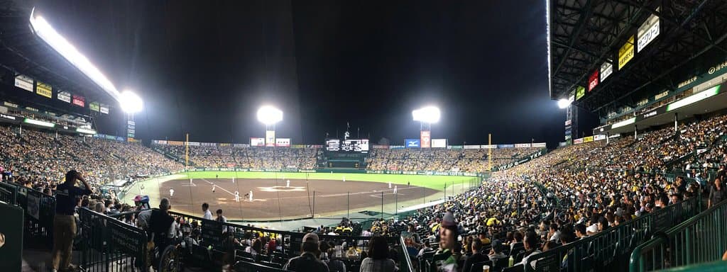 See a Hanshin Tigers Baseball Game