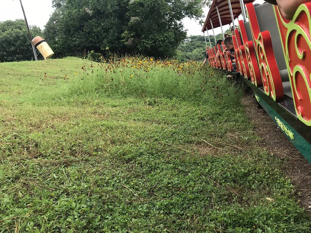 Landa Park Miniature Train