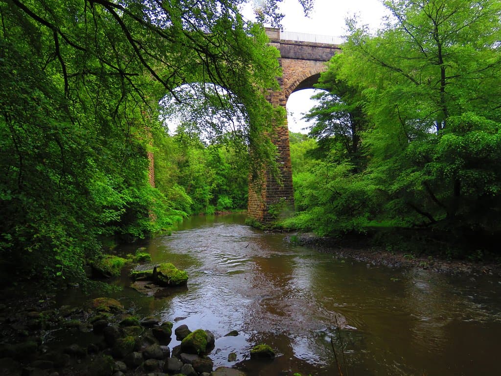 The viaduct