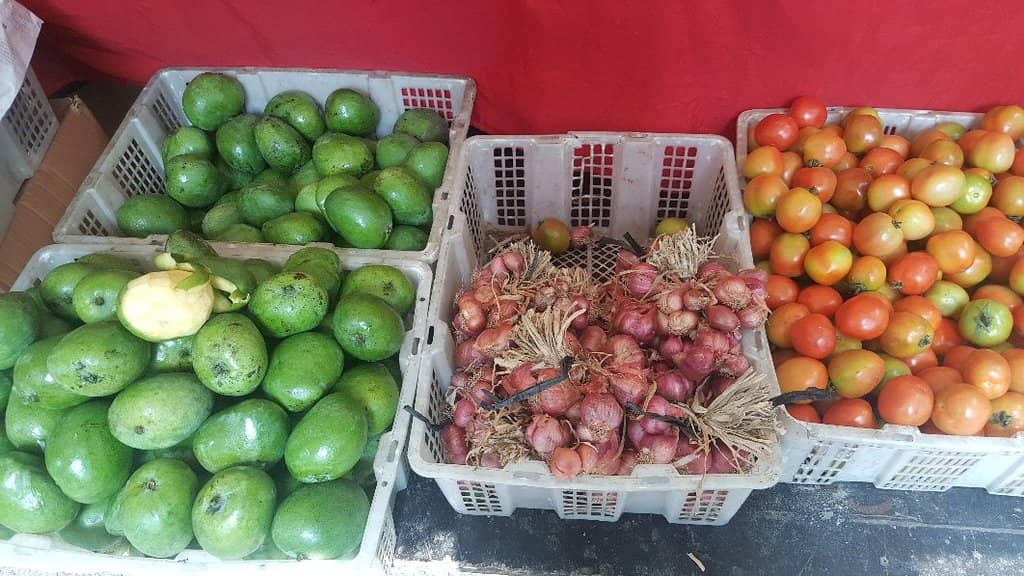 Vibrant Community Atmosphere