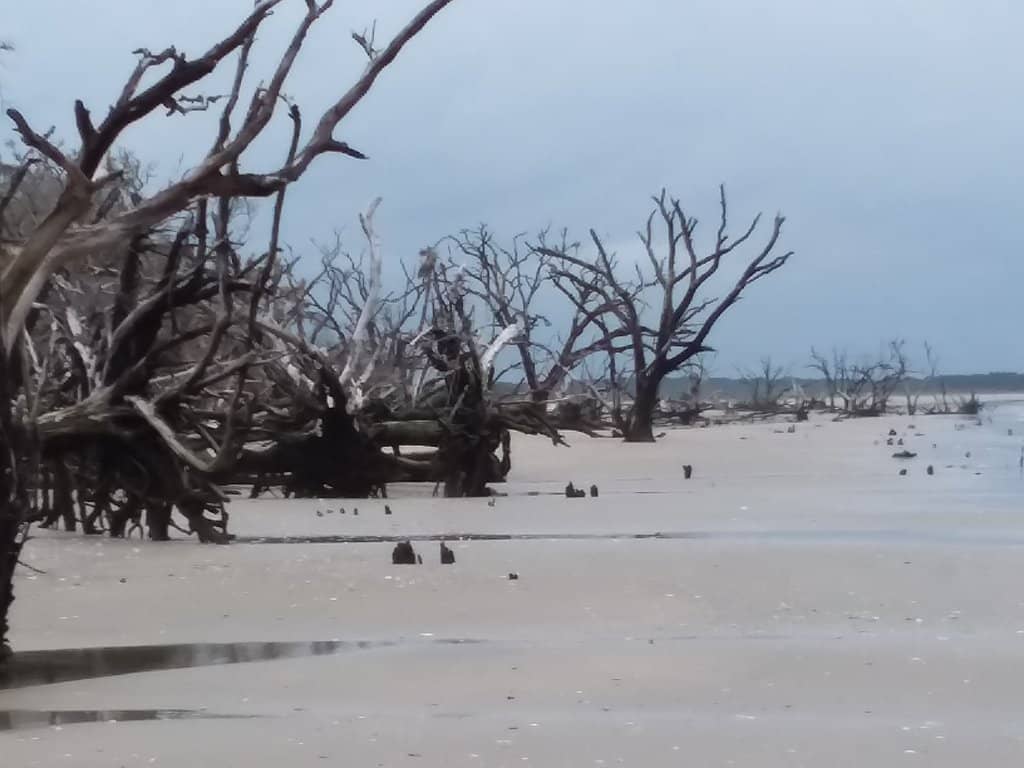 Plantation Driving Tour