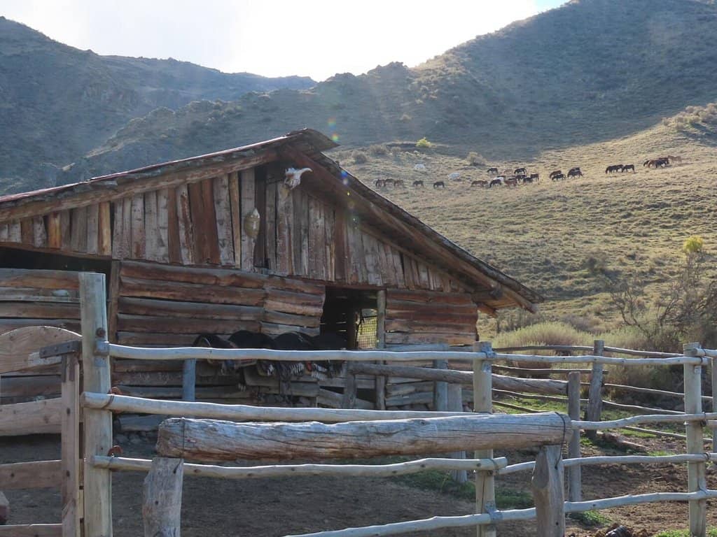 Community Events & Festivals