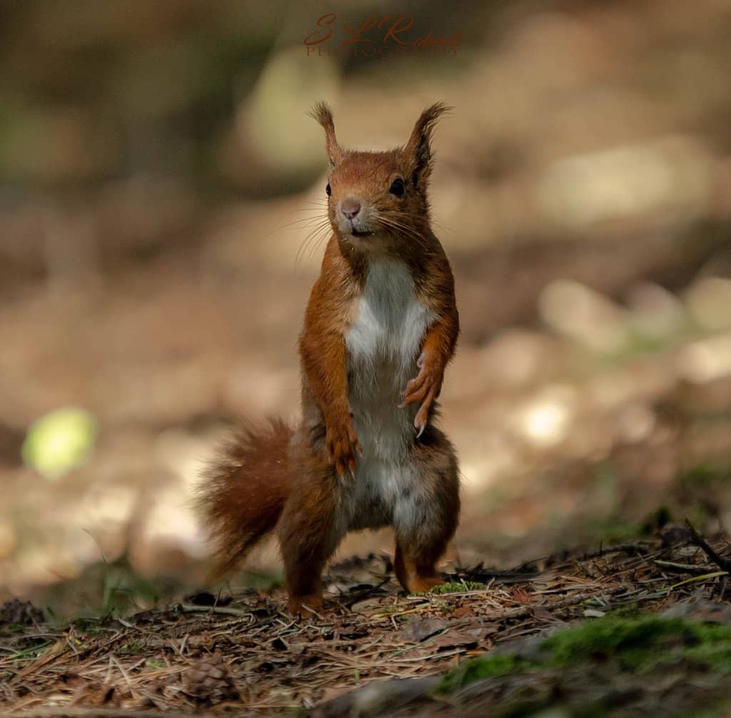 Expansive Sandy Beach