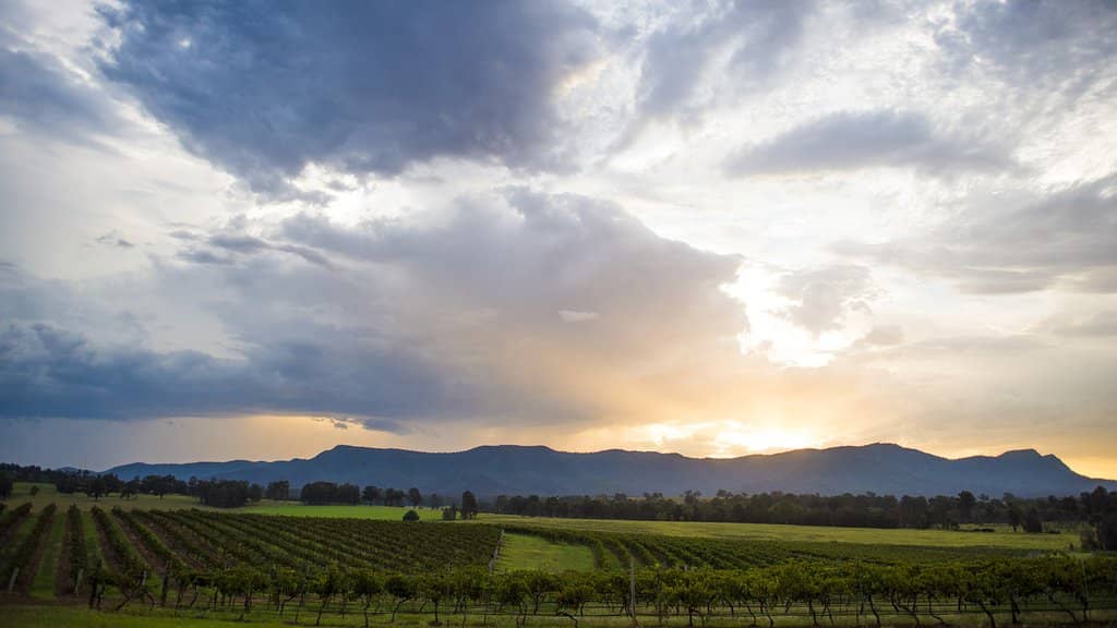 Bimbadgen Cellar Door Experience